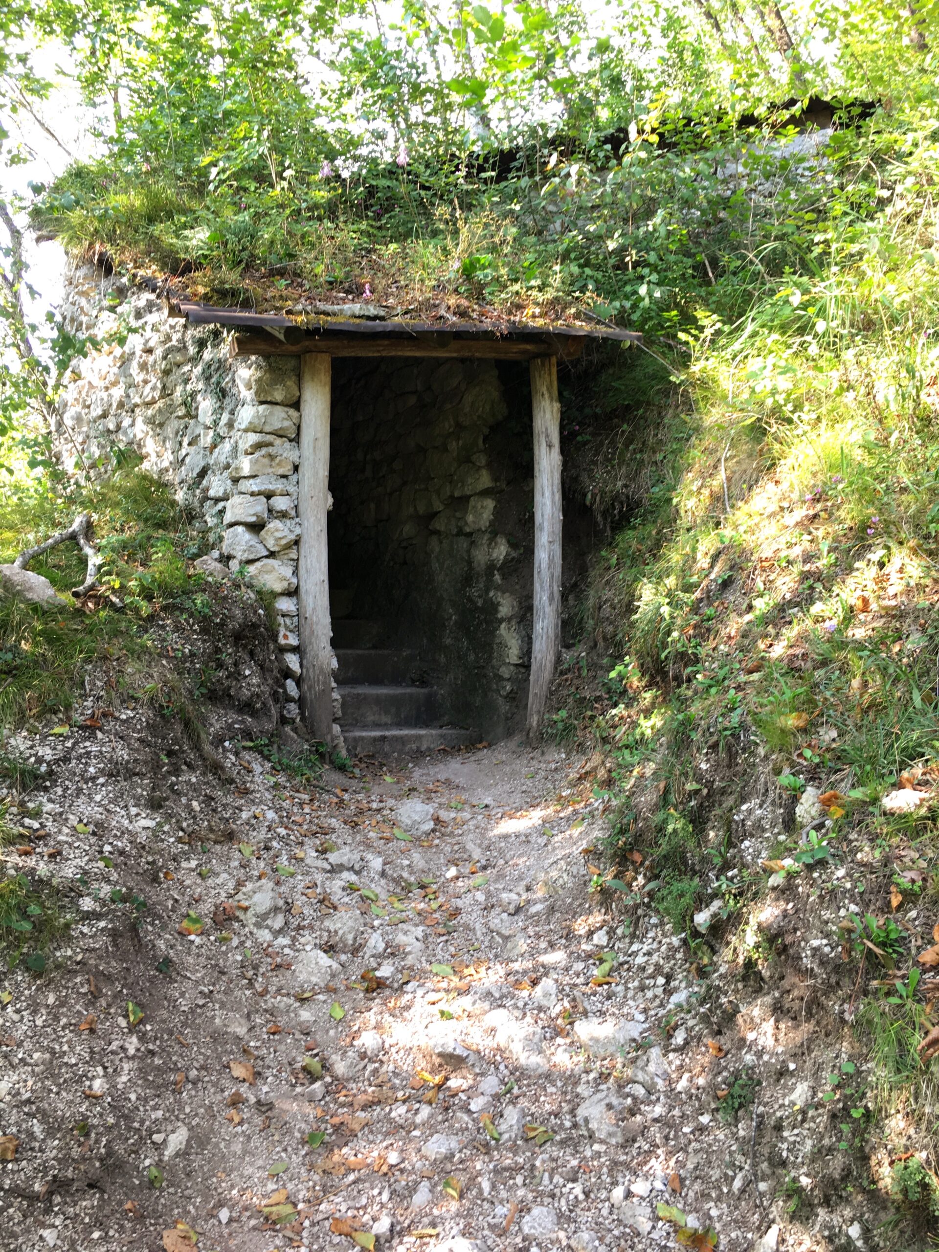 World War II Bunkers