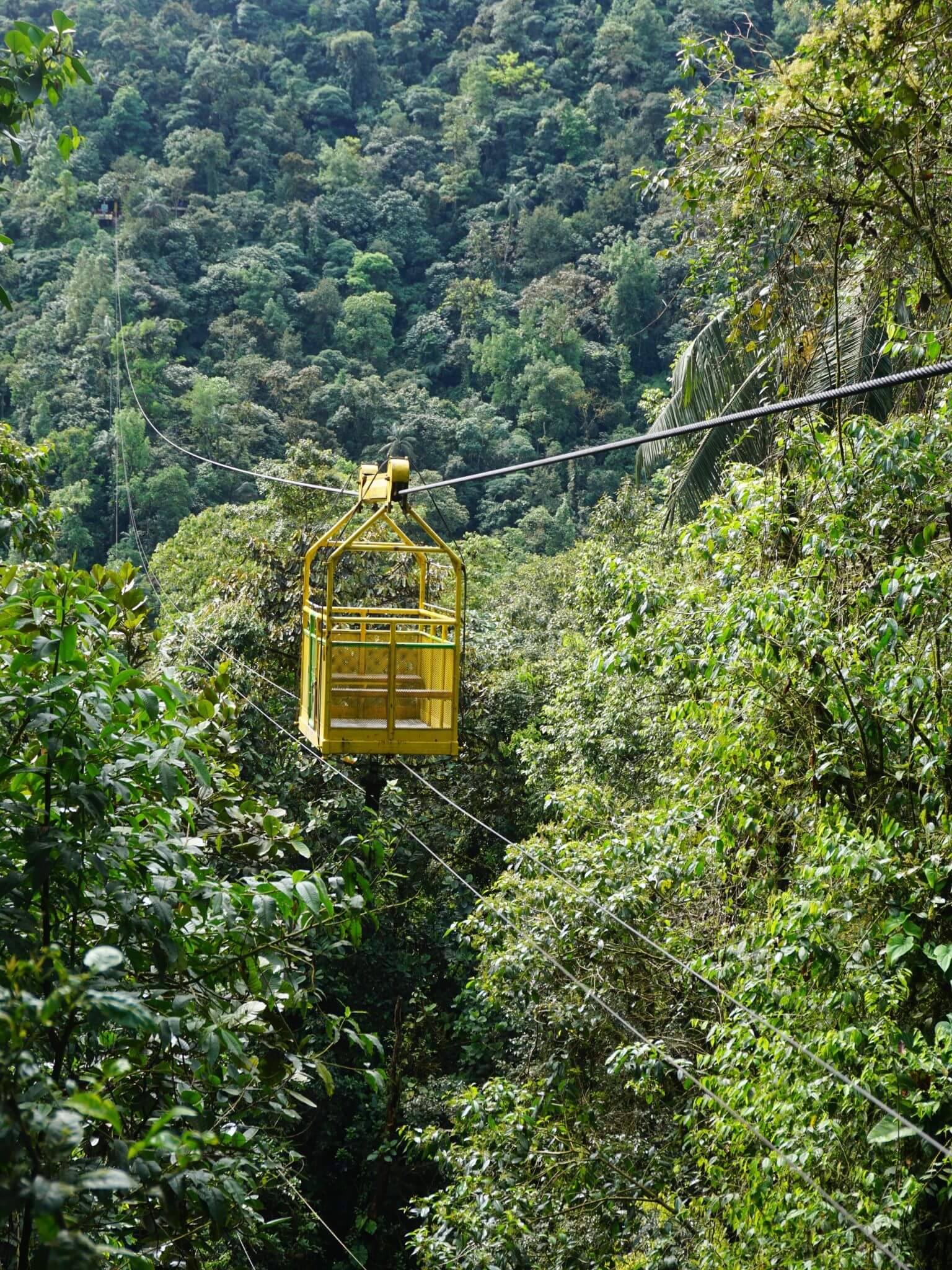 Tarabita de Montaña Cable Car, Mindo Cloudforest
