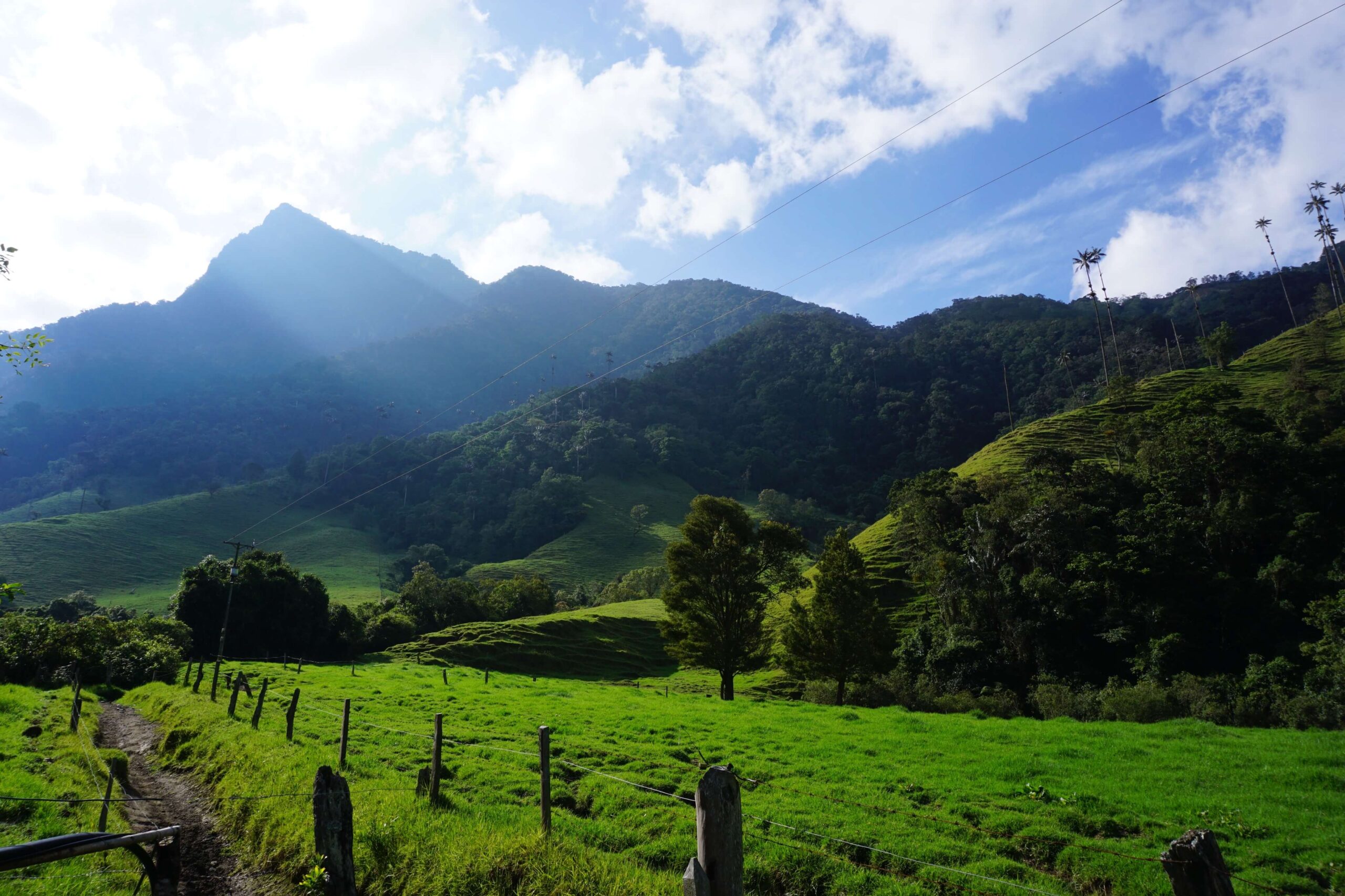 A ray of sunlight on Valle de Cocora