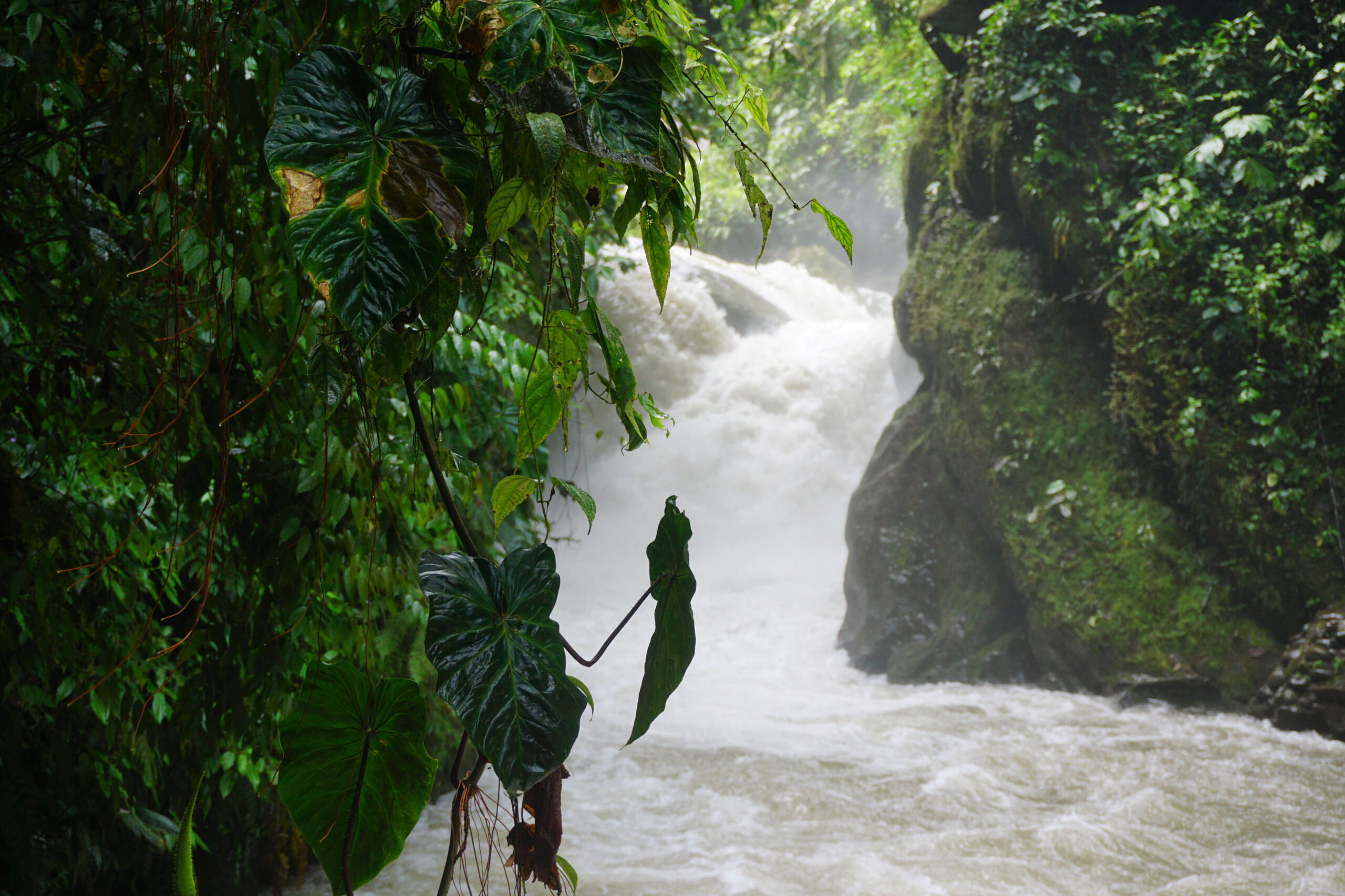 Waterfall flowing through a canyon in Mindo Cloudforest.