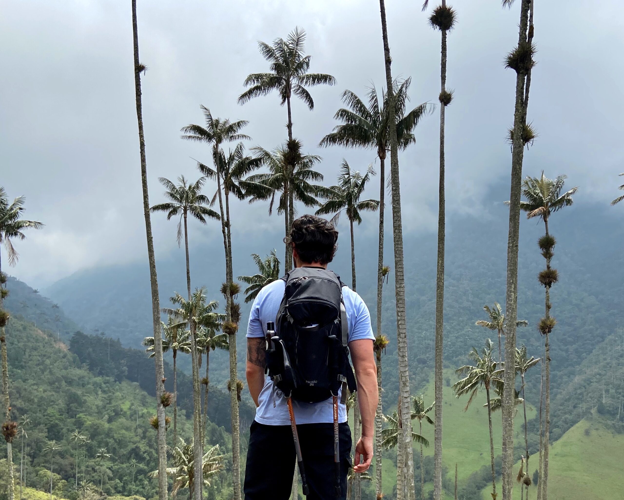 Alex looking out over Valle de Cocora Palms