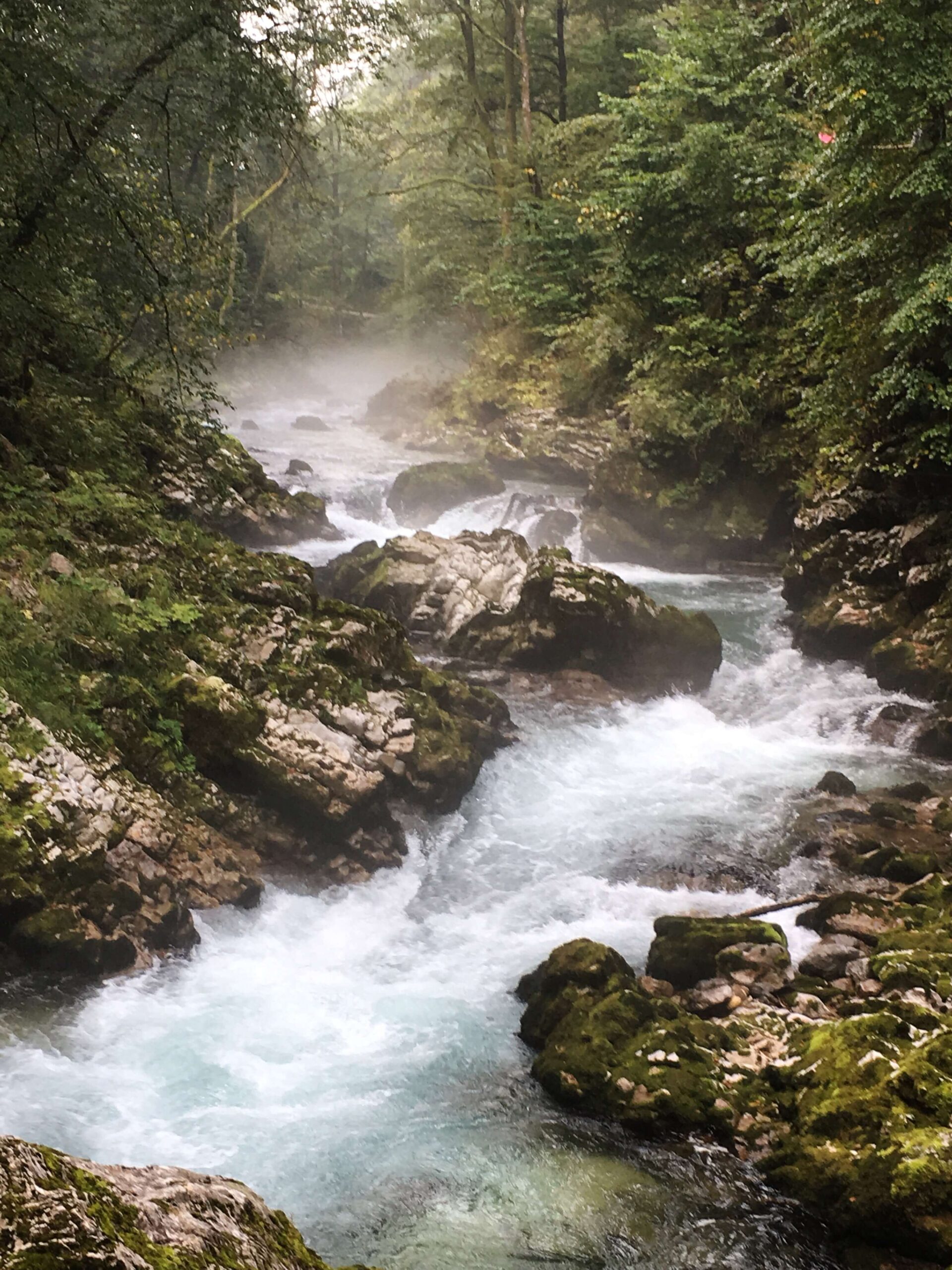 River Radovna, Vintgar Gorge, Slovenia