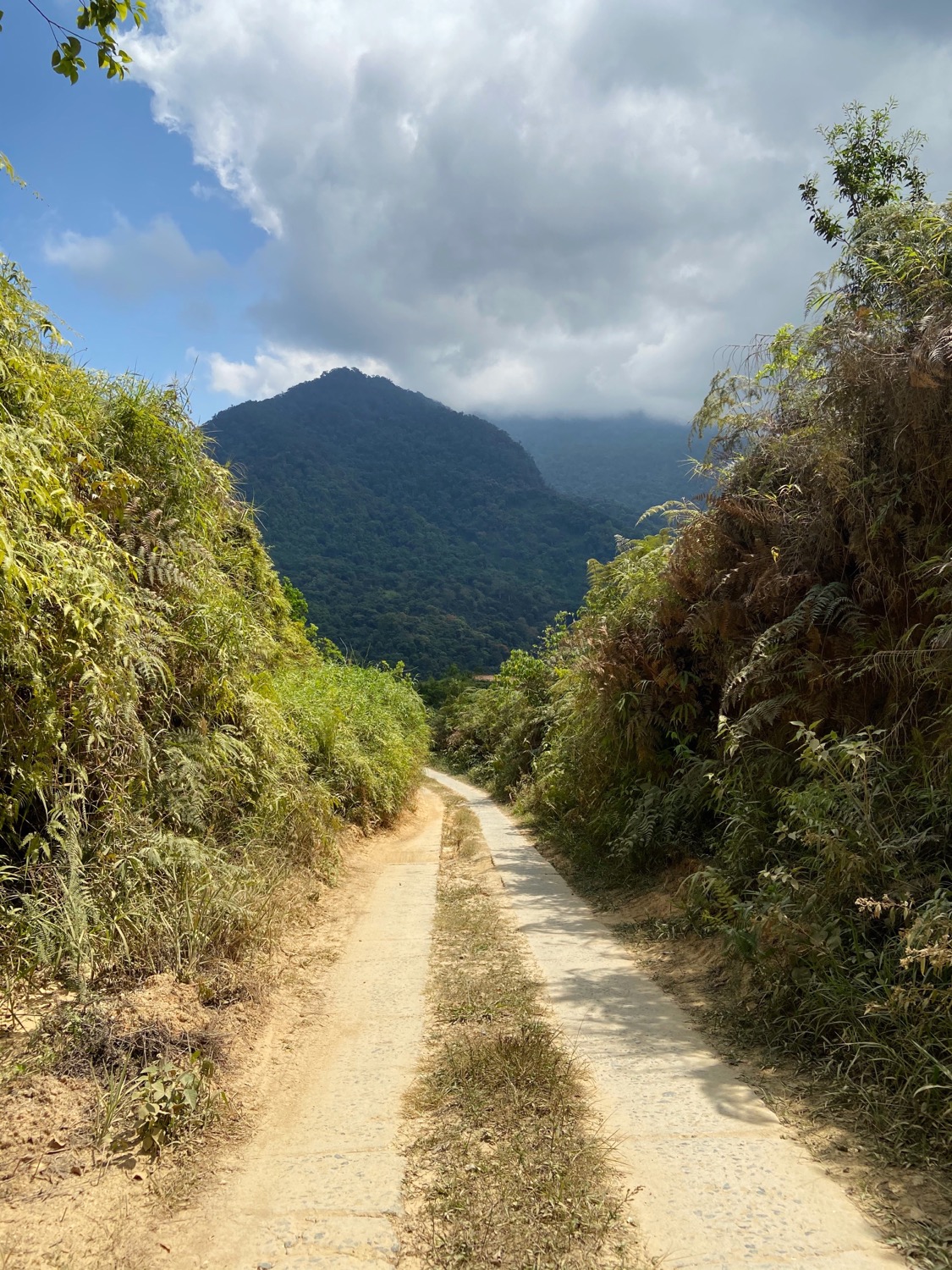 Path to Los Pinos from El Campano, Minca