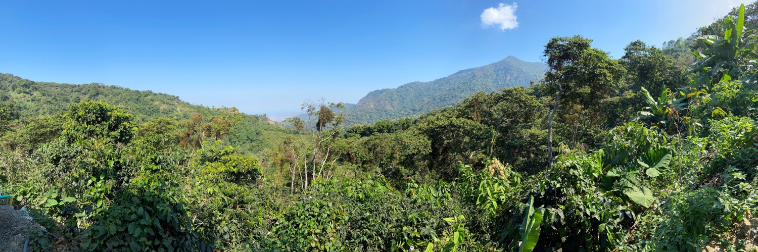 Panoramic View of Minca's Jungle