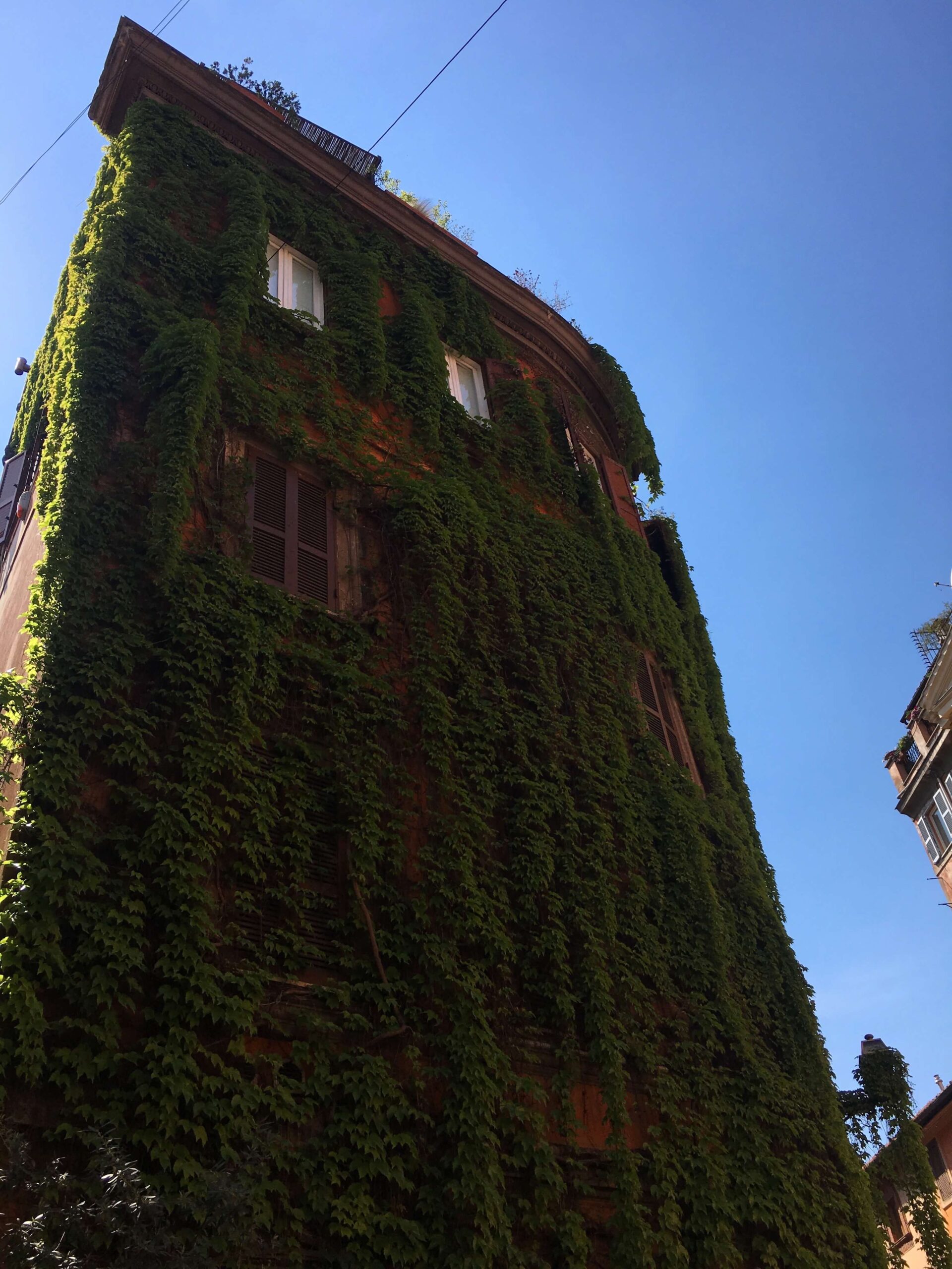 Ivy House in Trastevere, Rome, Italy